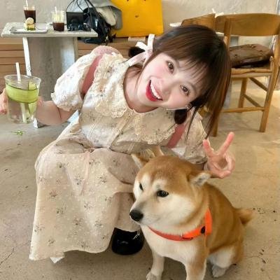 敦子求爱任务