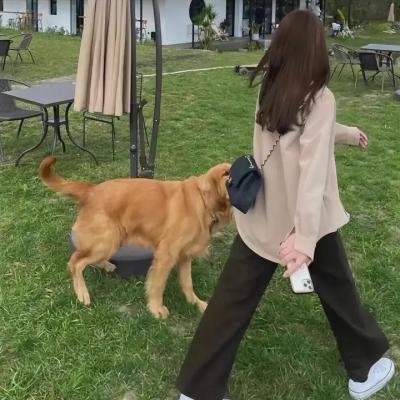 爸爸很漂亮