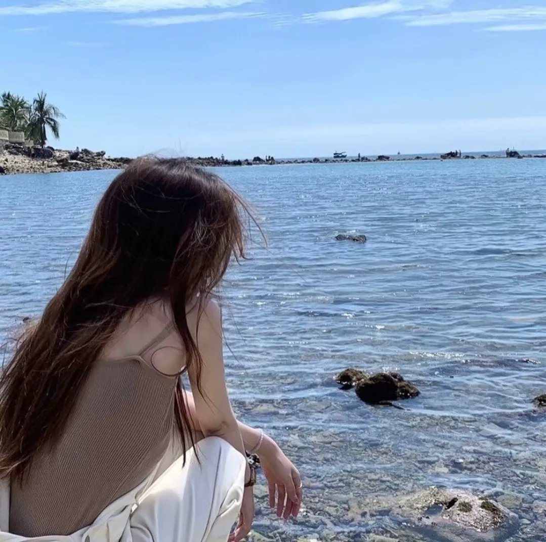 蚊子海岸